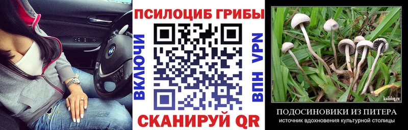 Псилоцибиновые грибы мухоморы  купить закладку  Камызяк 