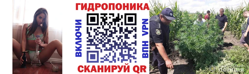 Бошки Шишки LSD WEED  Камызяк 
